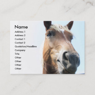 Horse Business Card