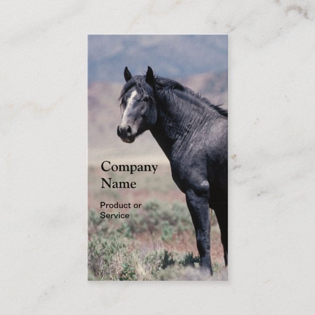 Horse business card (Front)
