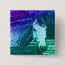 Horse Button