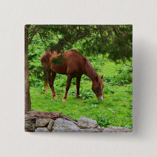 Horse Button (Front)