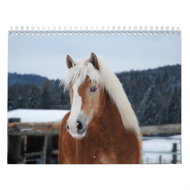 Horse Calendar (Cover)