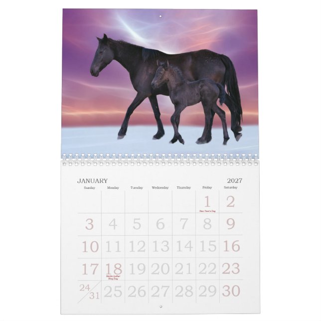 Horse Calendar (Jan 2027)