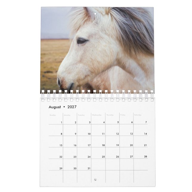 Horse Calendar (Aug 2027)