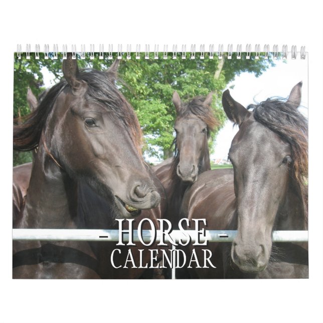 Horse Calendar (Cover)