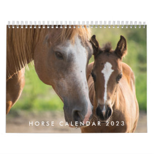 Horse Calendar 2023 Custom Add Your Photo