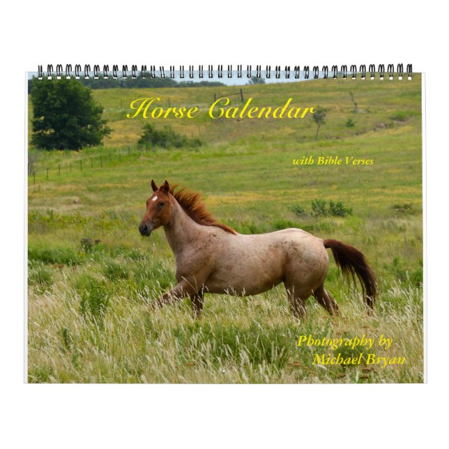 Horse Calendar with Bible Verses (12 month) (Cover)