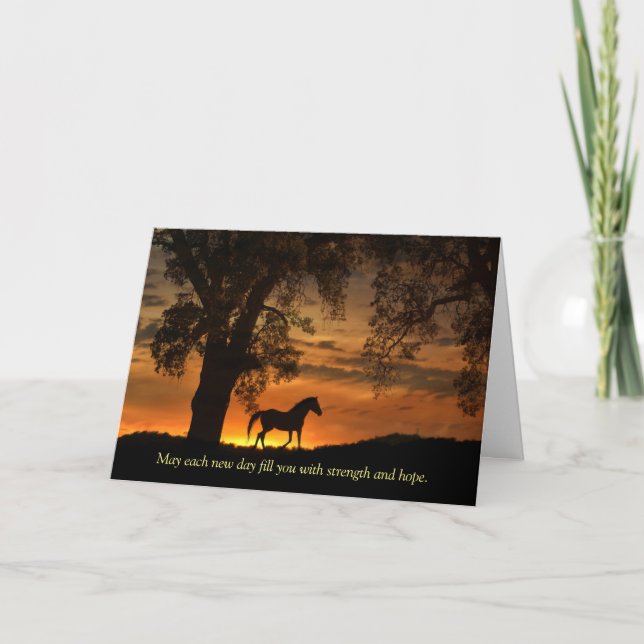 Horse Cancer Treatment Encouragement Get Well Card (Front)