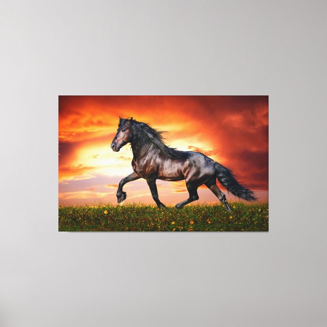 Horse Canvas Print (Front)