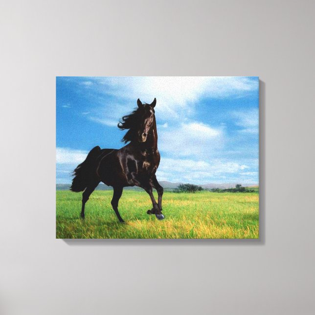 Horse Canvas Print (Front)