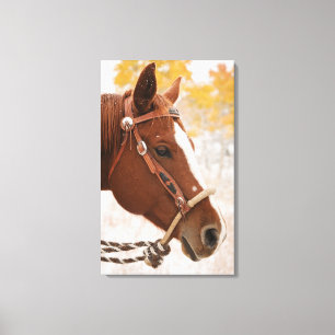 Horse Canvas Print