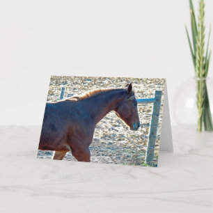 Horse Card