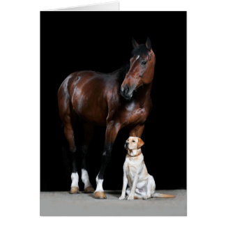 Horse Card