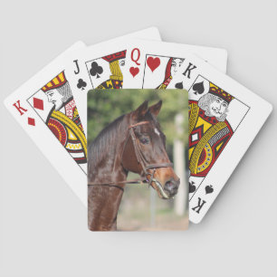 Horse cards