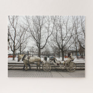 Horse Carriage Montreal. Jigsaw Puzzle