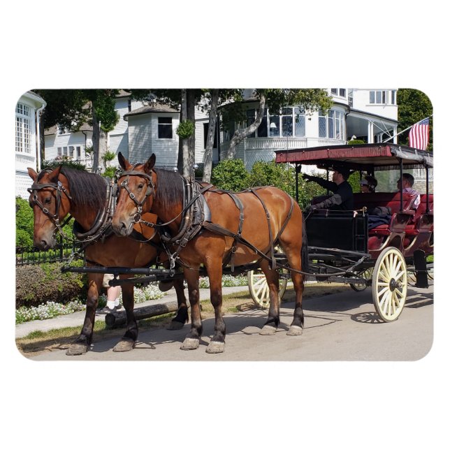 Horse & Carriage on Mackinac Island MI Magnet (Horizontal)