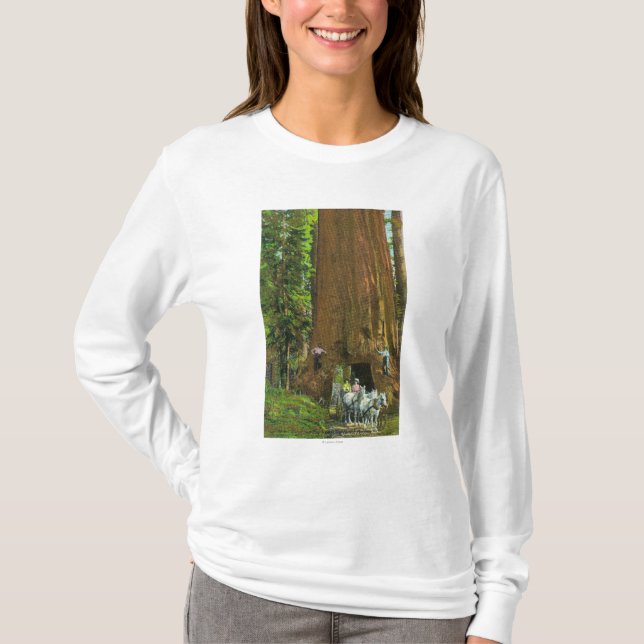 Horse Carriage Under a Giant Redwood T-Shirt (Front)