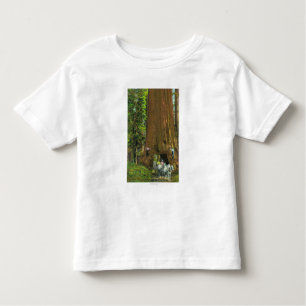 Horse Carriage Under a Giant Redwood Toddler T-Shirt