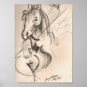 Horse Cello Art Poster