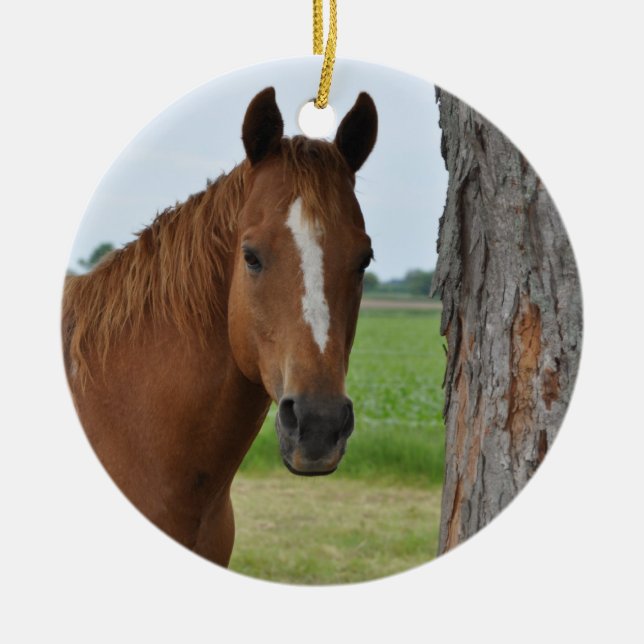 Horse Ceramic Tree Decoration (Front)