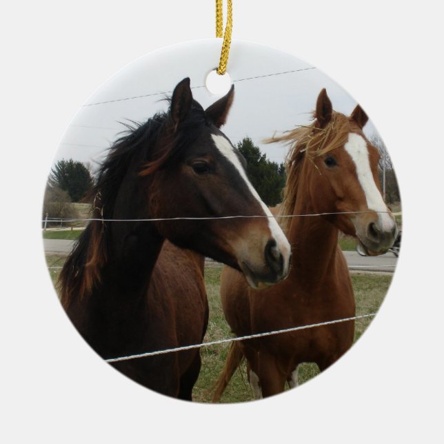 Horse Ceramic Tree Decoration (Front)