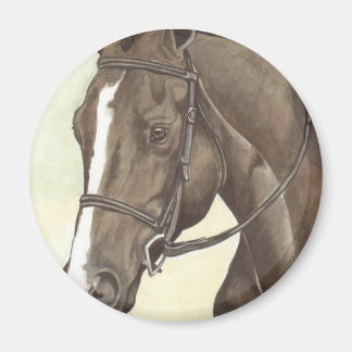 HORSE Champion Appendix QH Mare Magnet