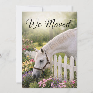 Horse Change of Address Holiday Card