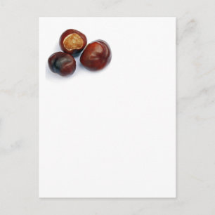 horse chestnut postcard