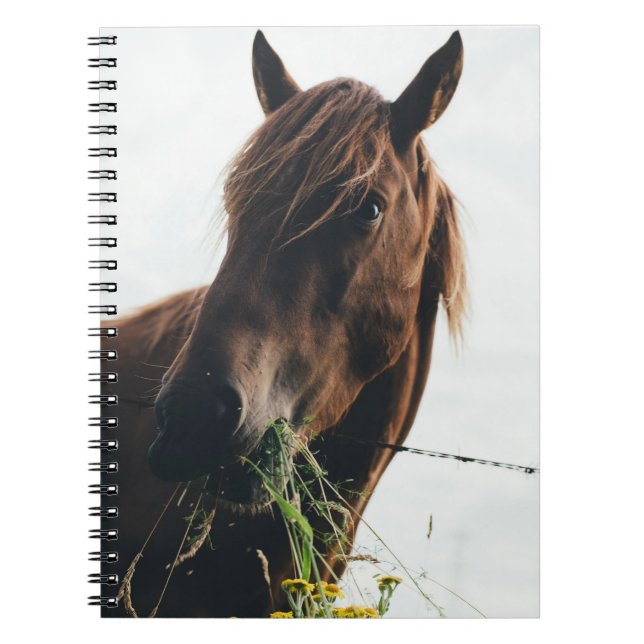 HORSE CHEWING GRASS NOTEBOOK (Front)