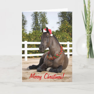 Horse Christmas Card