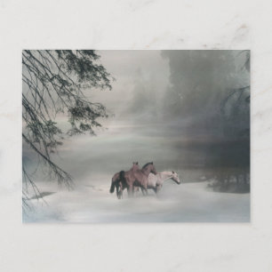 Horse Christmas, Holiday Postcards