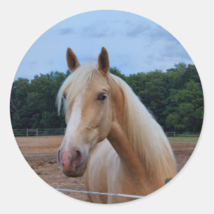 Horse Classic Round Sticker