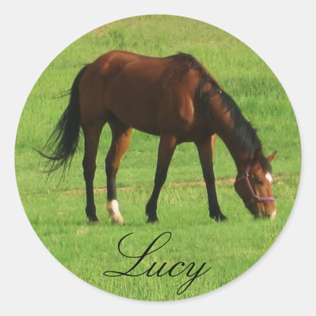 Horse Classic Round Sticker (Front)