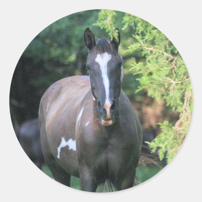 Horse Classic Round Sticker (Front)