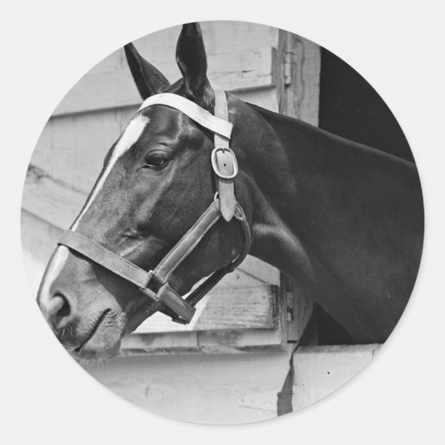Horse Classic Round Sticker (Front)
