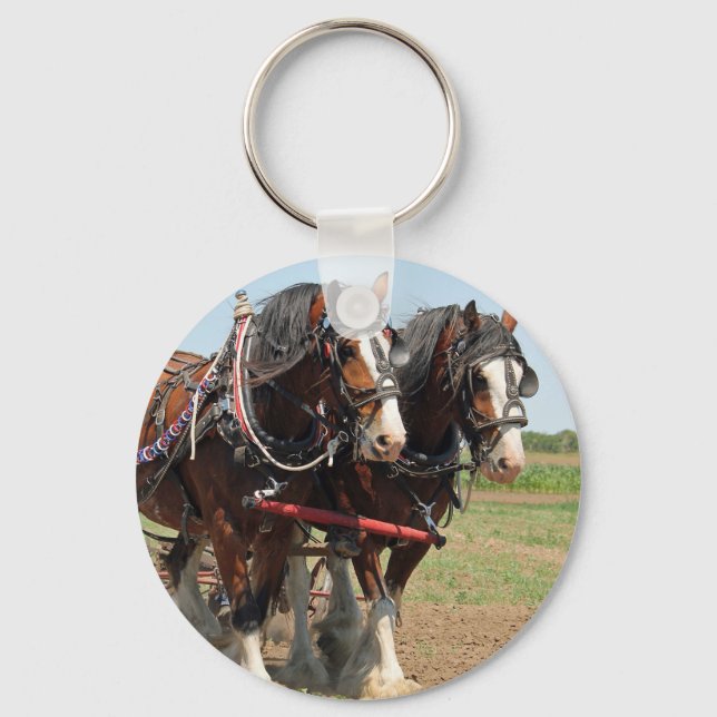 Horse Clydesdale Farming Photo Key Ring (Front)