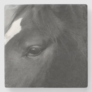 Horse coasterm stone coaster