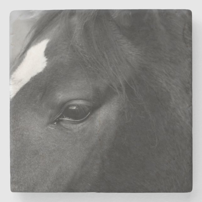 Horse coasterm stone coaster (Front)