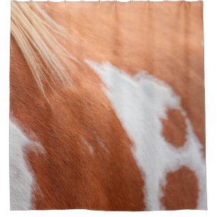 Horse coat animal equine tan shower curtain