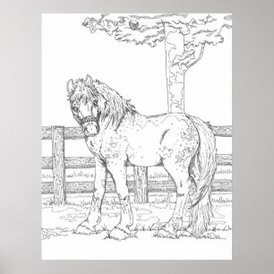 Horse Coloring Poster