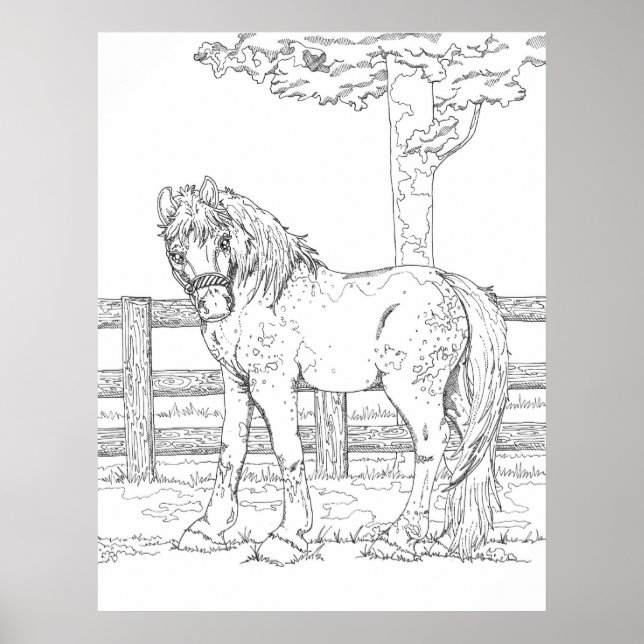 Horse Coloring Poster (Front)