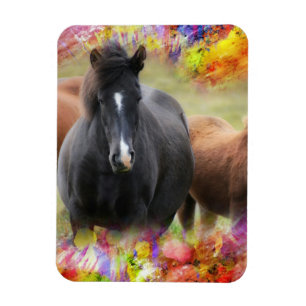 Horse Colourful Magnet