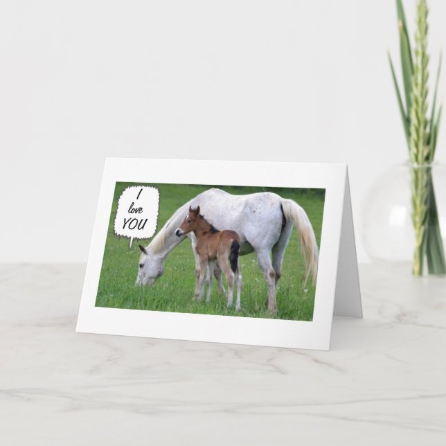 HORSE/COLT HELP DECLARE LOVE AT CHRISTMAS HOLIDAY CARD (Front)