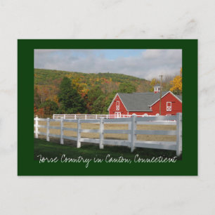 Horse Country in Canton Postcard