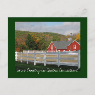 Horse Country in Canton Postcard