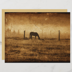 Horse Country Rustic Vintage Texture Decoupage