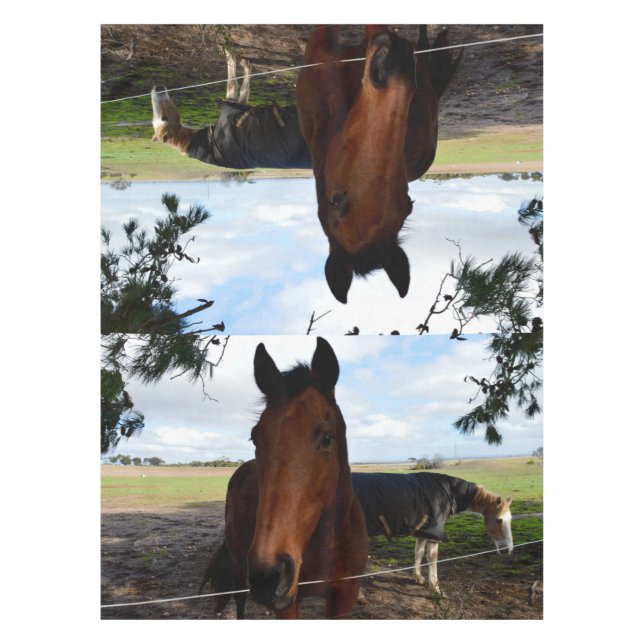 Horse Country, Tablecloth (Front)