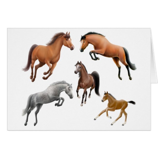 Horse Crazy Card (Front Horizontal)