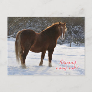 Horse Czech New Year postcard