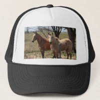Horse Designs By Breana Pope