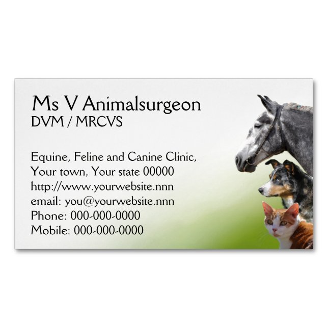 Horse, dog and cat vet practice magnetic business card (Front)